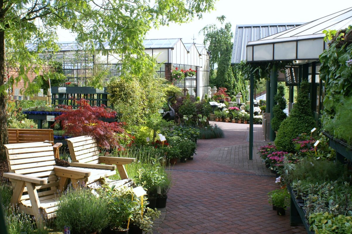 Nursery Stock Reg Taylors Garden Centre Southwell Notts